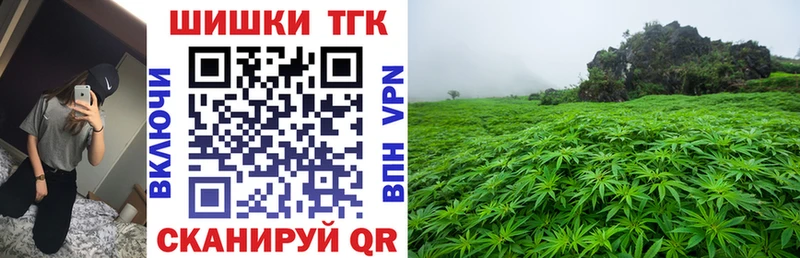 Купить закладку Карачев ГАШ APVP Меф Каннабис Кокаин