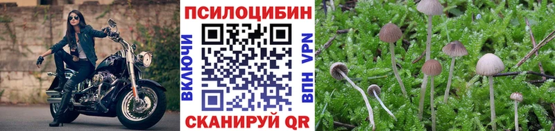 где продают   Карачев  ОМГ ОМГ рабочий сайт  Псилоцибиновые грибы Cubensis 